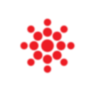 Remed Assistance